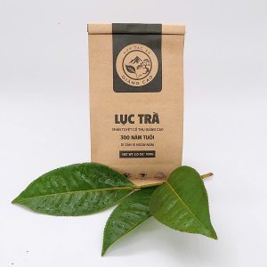 Lục giấy