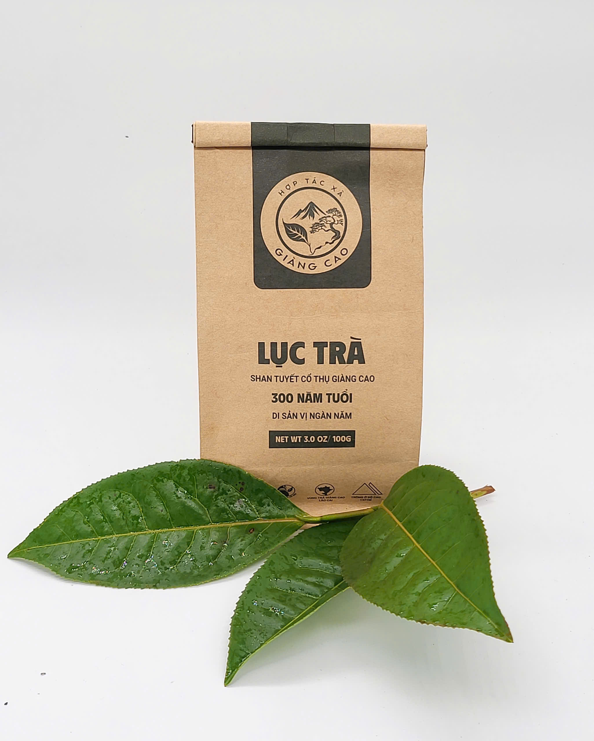 Lục giấy